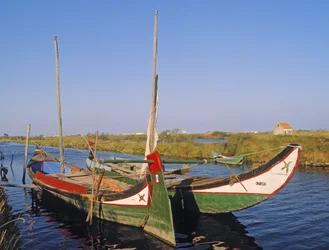 Moliceiros i en kanal